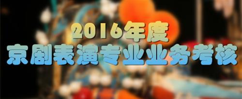 中文字幕日本丰满的中年女人操逼一级大片国家京剧院2016年度京剧表演专业业务考...